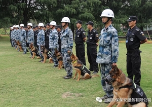 江蘇宿遷警方推“共享保安”模式，可防性案件下降21%