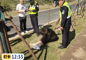 愛心舉動(dòng)顯真情 平凡小事暖人心—近期宗保公司涌現(xiàn)2起助人為樂好